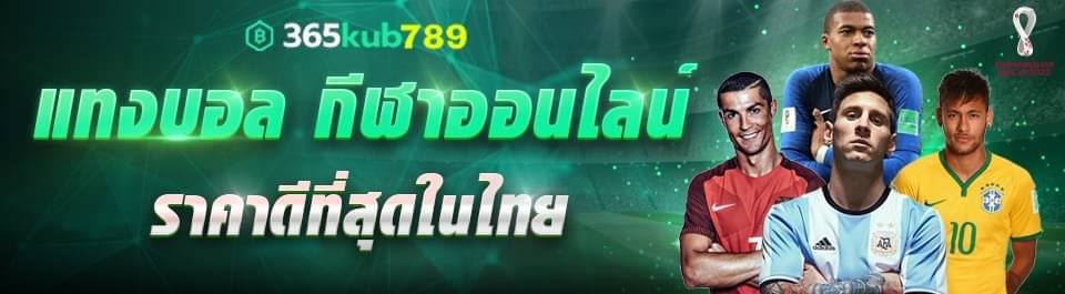 สมาชิกใหม่รับโนัส 100%